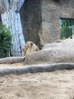 Loro Park &ndash; &copy; Bettina Langendörfer (Eberhardt TRAVEL)