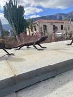 Güimar &ndash; &copy; Bettina Langendörfer (Eberhardt TRAVEL)