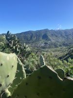 Blick auf den Teide &ndash; &copy; Bettina Langendörfer (Eberhardt TRAVEL)