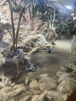Im Loropark &ndash; &copy; Bettina Langendörfer (Eberhardt TRAVEL)