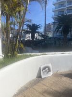 Strandpromenade Puerto de la Cruz &ndash; &copy; Bettina Langendörfer (Eberhardt TRAVEL)