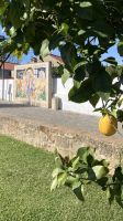 Portugal, auf dem portugiesischen Jakobsweg &ndash; &copy; Sabine C. Seifert (Eberhardt TRAVEL)