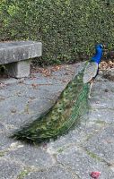 Portugal, Porto, im Jardins du Palais de Cristal &ndash; &copy; Sabine C. Seifert (Eberhardt TRAVEL)