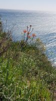 Tossa de Mar 24 &ndash; &copy; Anke Nicke (Eberhardt TRAVEL)