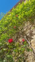 Pubol 02 &ndash; &copy; Anke Nicke (Eberhardt TRAVEL)