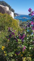 Tossa de Mar 18 &ndash; &copy; Anke Nicke (Eberhardt TRAVEL)