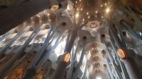 Barcelona - Sagrada Familia - Innenraum 3 &ndash; &copy; Anke Nicke (Eberhardt TRAVEL)