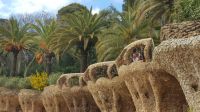 Barcelona - Parc Güell - Kolonnadenarchitektur &ndash; &copy; Anke Nicke (Eberhardt TRAVEL)
