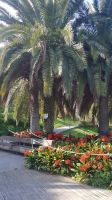 Barcelona - Frühling auf dem Montjuic 2 &ndash; &copy; Anke Nicke (Eberhardt TRAVEL)