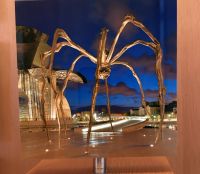 Foto der Spinne bei Nacht &ndash; &copy; Birgit Kirchner (Eberhardt TRAVEL)