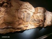 Altamira-Höhlenmuseum - Kantabrien - Spanien  &ndash; &copy; Marieta Beck (Eberhardt TRAVEL)