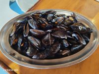  O Grove - Muschelverkostung am Bord - Galizien, Spanien &ndash; &copy; Marieta Beck (Eberhardt TRAVEL)