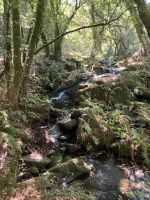 Spanien, Jakobsweg, romantische Route Steine & Wasser &ndash; &copy; Sabine C. Seifert (Eberhardt TRAVEL)