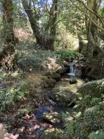 Spanien, spirituelle Variante des Jakobswegs, Ruta da Pedra e da Auga &ndash; &copy; Sabine C. Seifert (Eberhardt TRAVEL)