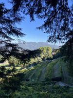 Spanien, Castelo do Soutomaior, Mühlenweg mit Blick über die Weinberge &ndash; &copy; Sabine C. Seifert (Eberhardt TRAVEL)