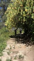 Portugal, Wanderung auf dem portugiesischen Jakobsweg &ndash; &copy; Sabine C. Seifert (Eberhardt TRAVEL)