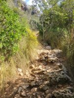 Wanderung Es Migjorn Gran - Playa de Binigaus/Menorca/Balearen &ndash; &copy; Susanne Hofen (Eberhardt TRAVEL)