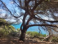 Camí de Cavalls/bei Binigaus/Menorca/Balearen &ndash; &copy; Susanne Hofen (Eberhardt TRAVEL)
