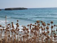 Camí de Cavalls/Binigaus-Sant Tomás/Menorca/Balearen &ndash; &copy; Susanne Hofen (Eberhardt TRAVEL)