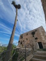 Monte Toro/Menorca/Balearen &ndash; &copy; Susanne Hofen (Eberhardt TRAVEL)