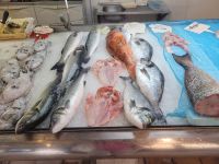 Fischhalle/Altstadt von Mahon/Menorca/Balearen &ndash; &copy; Susanne Hofen (Eberhardt TRAVEL)