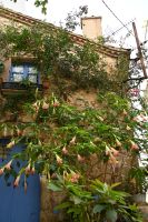 Tossa de Mar (18) &ndash; &copy; Franziska Barthel (Eberhardt TRAVEL)