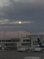 Heimflug (2) &ndash; &copy; Franziska Barthel (Eberhardt TRAVEL)