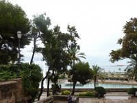 Meer vor Kathedrale in Palma