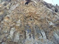 Barcelona und die Kultur Kataloniens &ndash; &copy; Benjamin Rodriguez Manzanares (Eberhardt TRAVEL)