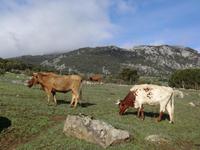 Sierra de Grazalema &ndash; &copy; Dörte Dürfeld (Eberhardt TRAVEL)