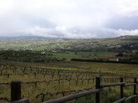 Bodega Los Frutales &ndash; &copy; Dörte Dürfeld (Eberhardt TRAVEL)