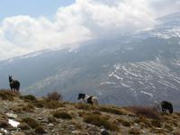 Sierra Nevada &ndash; &copy; Dörte Dürfeld (Eberhardt TRAVEL)