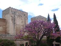 Alhambra &ndash; &copy; Dörte Dürfeld (Eberhardt TRAVEL)