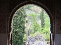 Alhambra &ndash; &copy; Dörte Dürfeld (Eberhardt TRAVEL)