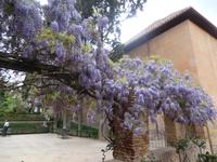 Alhambra &ndash; &copy; Dörte Dürfeld (Eberhardt TRAVEL)