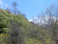 Alpujarras &ndash; &copy; Dörte Dürfeld (Eberhardt TRAVEL)