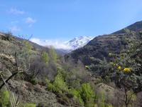 Alpujarras &ndash; &copy; Dörte Dürfeld (Eberhardt TRAVEL)