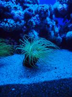 Palma Aquarium &ndash; &copy; Juliane Voigt (Eberhardt TRAVEL)