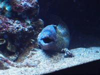 Palma Aquarium &ndash; &copy; Juliane Voigt (Eberhardt TRAVEL)
