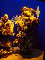 Palma Aquarium &ndash; &copy; Juliane Voigt (Eberhardt TRAVEL)