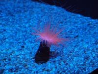 Palma Aquarium &ndash; &copy; Juliane Voigt (Eberhardt TRAVEL)