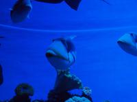 Palma Aquarium &ndash; &copy; Juliane Voigt (Eberhardt TRAVEL)