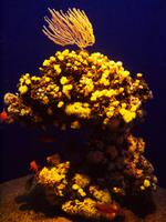Palma Aquarium