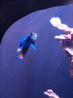 Palma Aquarium &ndash; &copy; Juliane Voigt (Eberhardt TRAVEL)