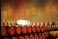 Weingut Torres &ndash; &copy; Denise Hartmann (Eberhardt TRAVEL)