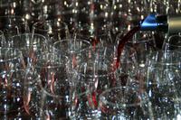 Weingut Torres &ndash; &copy; Denise Hartmann (Eberhardt TRAVEL)