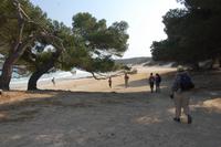 wieder am Strand 