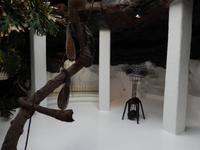 Cesar Manriquez Haus und Museum - Wanderreise auf Lanzarote - Singlereisen - Wandern - Lanzarote - Spanien
