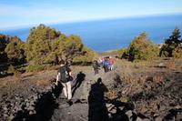 Wanderung im Süden von La Palma &ndash; &copy; Martin Jentzsch (Eberhardt TRAVEL)