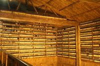 Bodega 